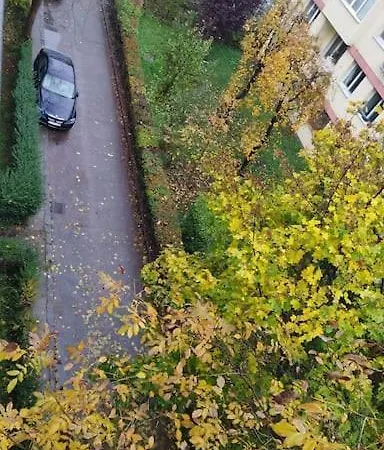Walnut Apt. Near The River, Early/late Checkin/out * Cluj-Napoca